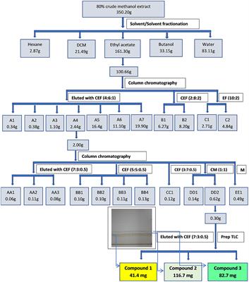 Bioassay Guided Fractionation of Senna singueana and Its Potential for Development of Poultry Phytogenic Feed Additives